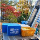 영광포장안전