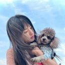 나나의 하루 이미지