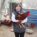 유라이크 이미지