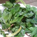 내도바당 이미지