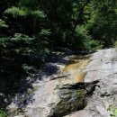 수룡봉황길 이미지