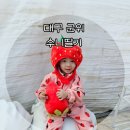 군위어린이집 | 25.2.9 1187DAY 무농약 인증받은 아기랑군위 딸기수확체험 수니딸기