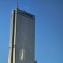 정수초 성북동 나들이 이미지