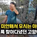 고양이를 잃어버리고 너무 미안해서 우시는 아버지 이미지