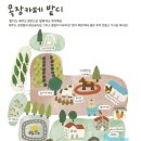 행복한목장 | 서귀포카페 목장카페 밭디. 승마 말먹이주기 이색자전거 이색체험 솔직후기