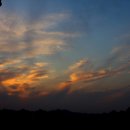 반곡초교로 이미지