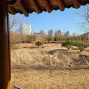 [경기·김포] 은여울공원 산책 후기