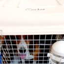 은비캔넬 이미지