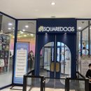 스퀘어독스 펫 이미지