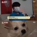 윤구농장 뉴스엔