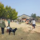 상진목장 이미지