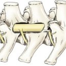 잘하는 동물메디컬센터 이미지