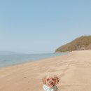 대덕방앗간 이미지