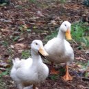 지윤농장 이미지