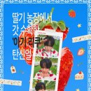 재희농장 네이버블로그