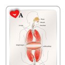 딜라이트짐 이미지