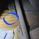 만평검사종합정비 이미지