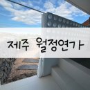 제주감성숙소 월정연가 | 제주 감성숙소, 월정연가 B105호