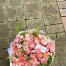 밈밈 이미지