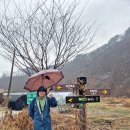 양구백자박물관 이미지