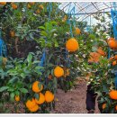 창구농장 이미지