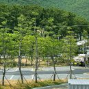 송정솔바람해변1 이미지