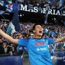 다요메디칼 이미지