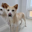 내장농장 이미지