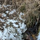 연두민박 이미지