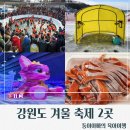 오대천낚시 | 화천,평창]강원도 겨울축제 추천/화천 산천어축제 vs 평창 송어축제 얼음낚시 비교 후기/겨울대표축제