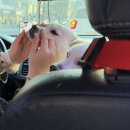 퍼피앤파파 이미지