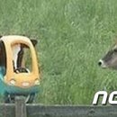 소근소근 이미지