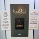 플랜트스터디카페 (안성 라운지) 이미지