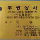 부광상사