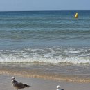 더블유병원 감삼점(CU) | 8월 마지막 주 일상