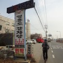 붉은노리
