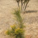 김홍태농장 이미지