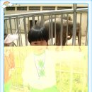 달성공원 이미지