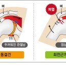 백수당한의원 이미지