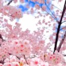 진월탑정형외과의원 이미지