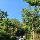 일상가배 이미지