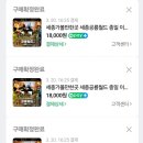 세종공룡월드 네이버블로그