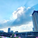 카페하라 이미지