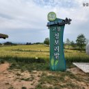보리나라