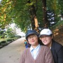 스톤유니콘 이미지