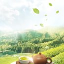 4층 문화교실 이미지