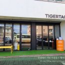 타이거타코 이미지