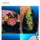 망양스쿠버민박 이미지