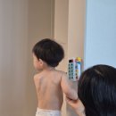 +2295일,&amp; +1128 일 2026.6.6. 토요일. 이미지