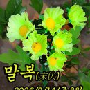 전월경로당 Daum카페